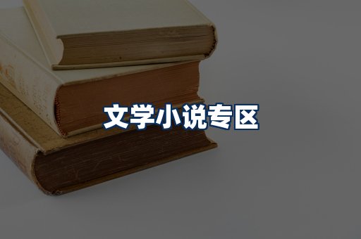 文学小说PDF展示